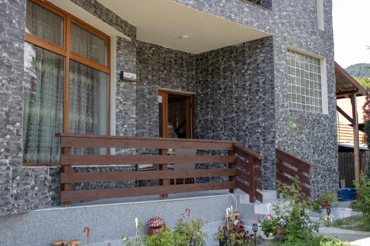Pensiunea Ricky Căpăţîneni-Ungureni Exterior foto