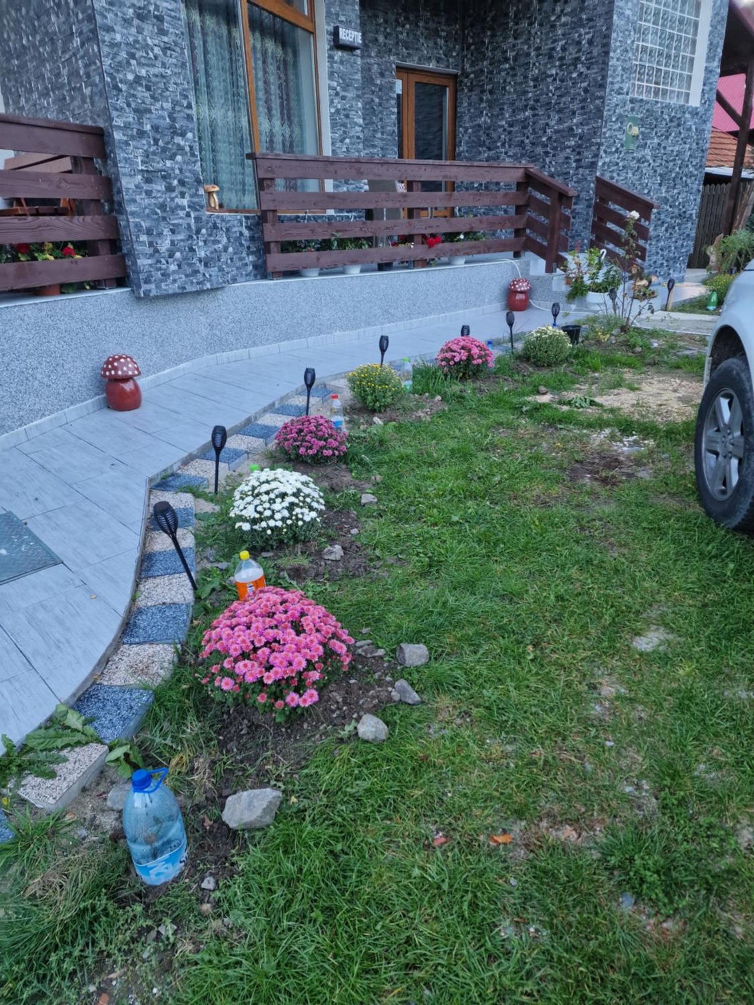 Pensiunea Ricky Căpăţîneni-Ungureni Exterior foto